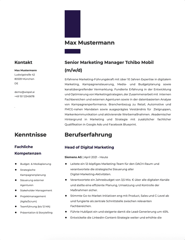 Lebenslauf Vorschau